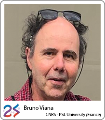 Bruno Viana