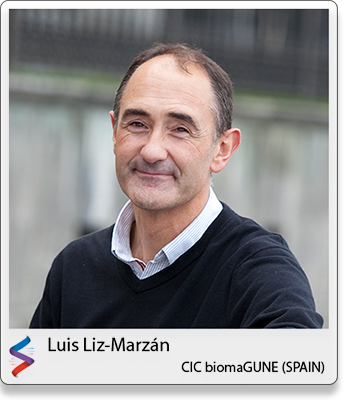 Luis Liz-Marzán